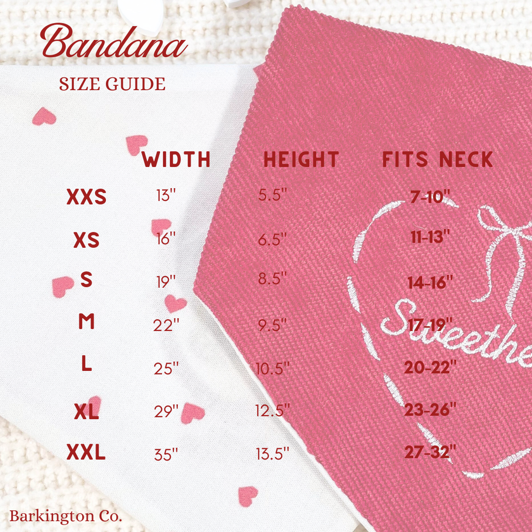 'Sloppy Kisser' Reversible Embroidered Bandana