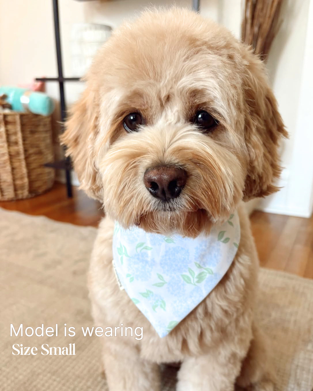 'North Paw Express' - Reversible Embroidered Bandana