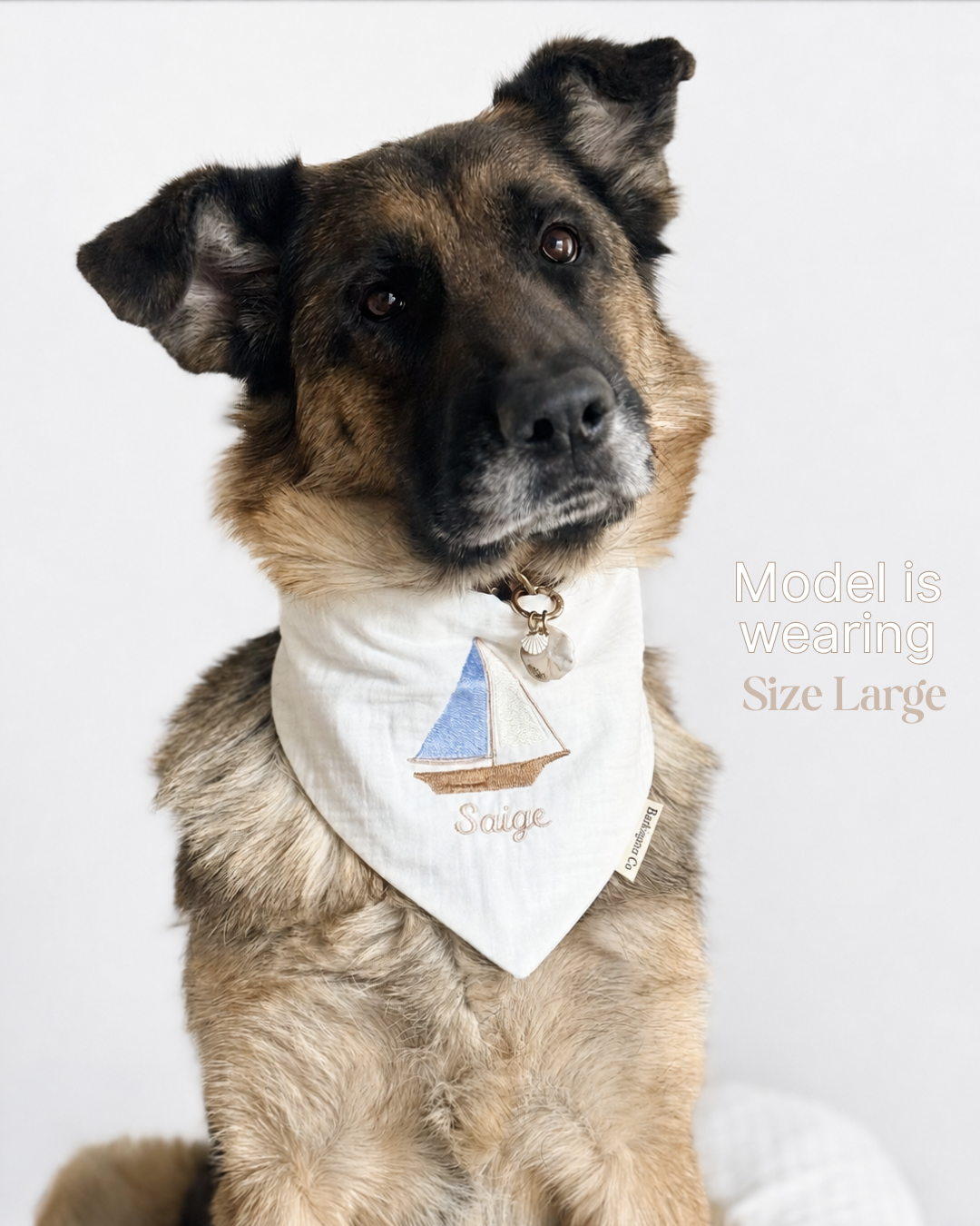 'North Paw Express' - Reversible Embroidered Bandana