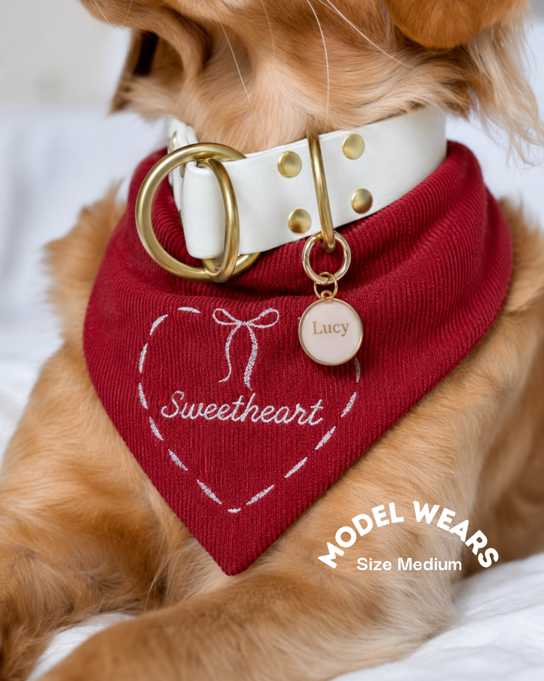 'Beary Loved' Reversible Custom Embroidered Bandana