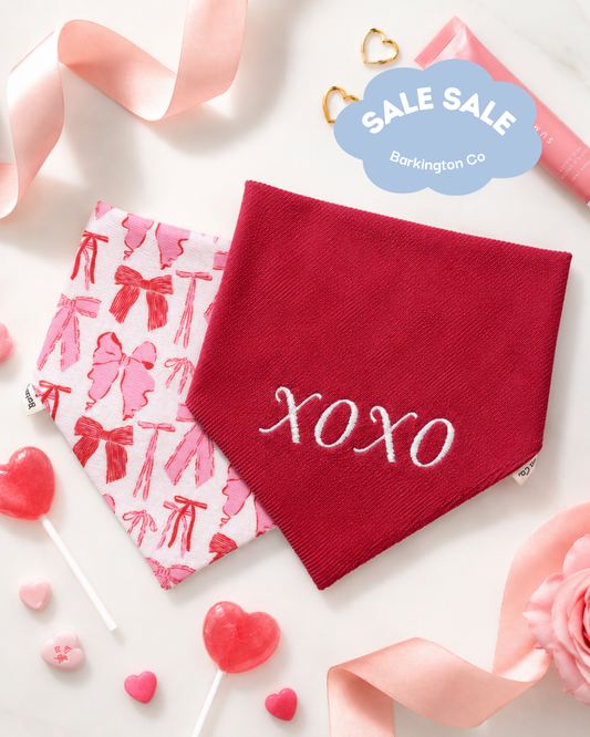 'XOXO' Reversible Embroidered Bandana
