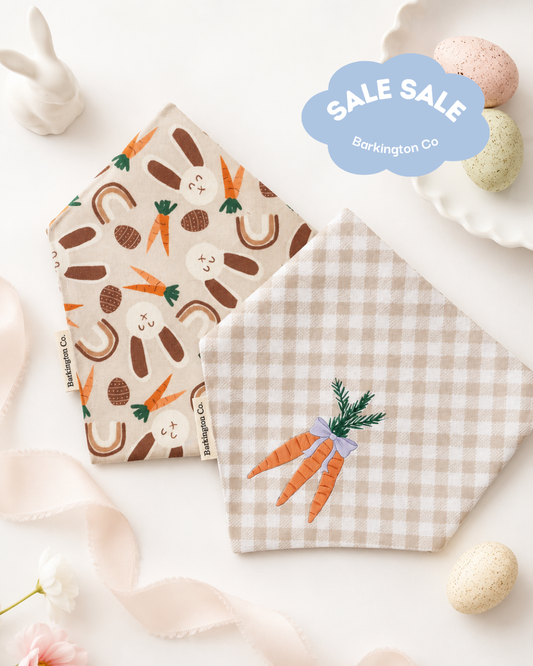 'Carrot Patch' Reversible Bandana