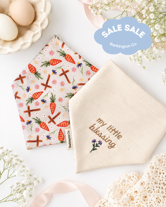 'Little Blessings' Reversible Embroidered Bandana