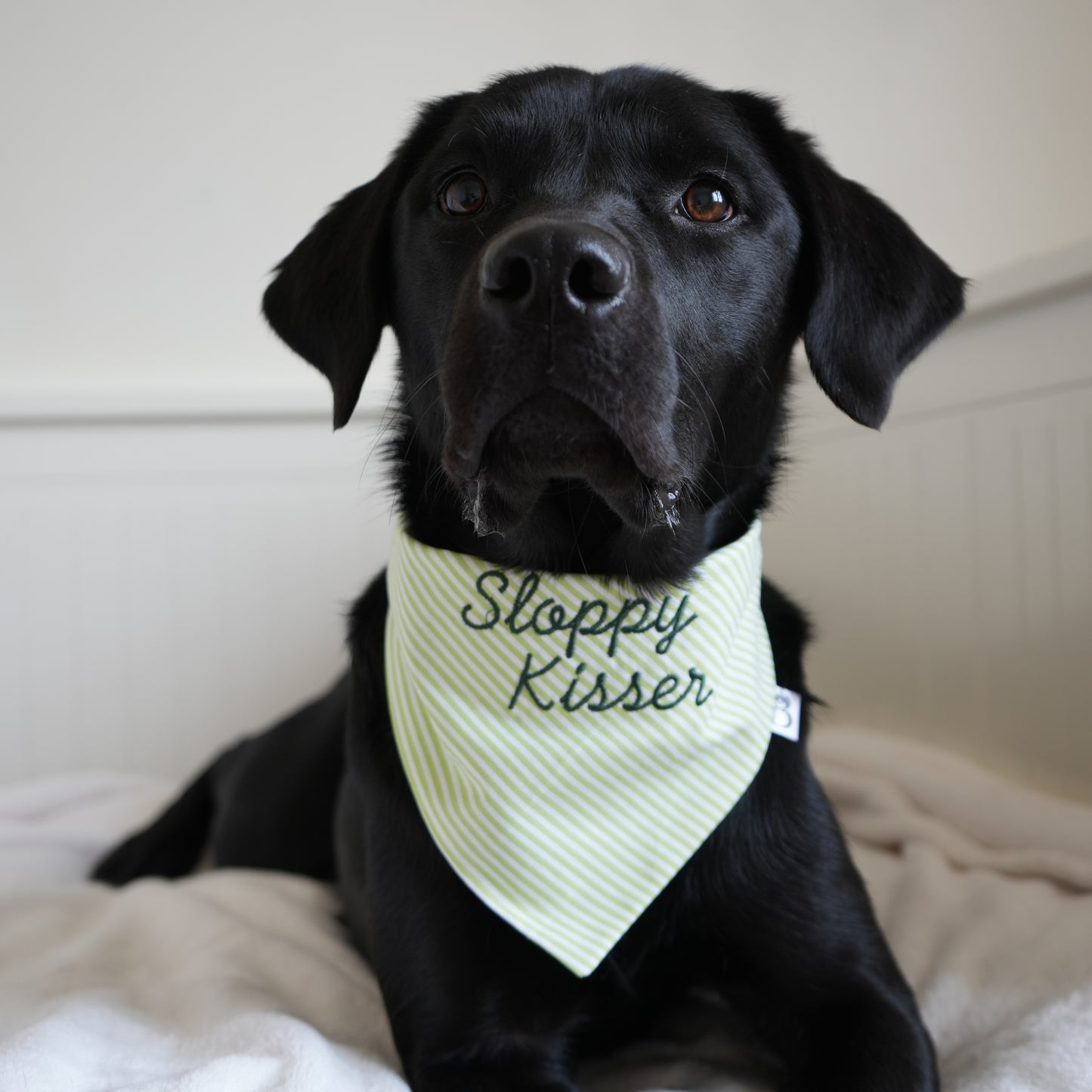 'Sloppy Kisser' Reversible Embroidered Bandana