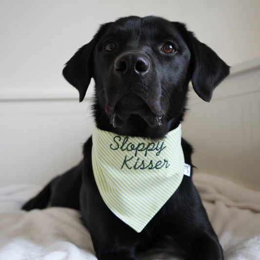 'Sloppy Kisser' Reversible Embroidered Bandana
