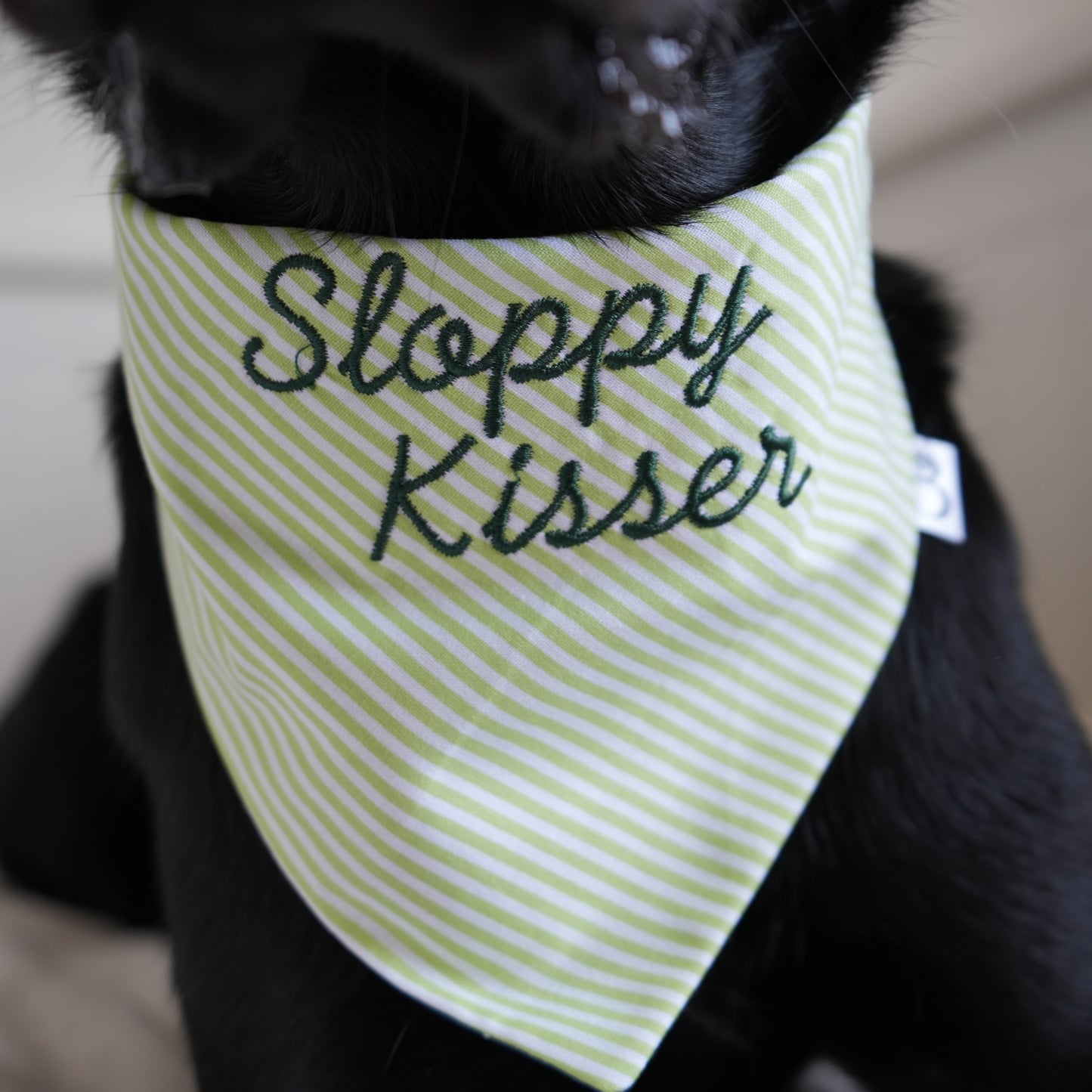 'Sloppy Kisser' Reversible Embroidered Bandana