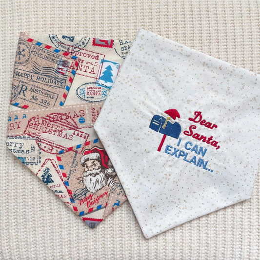 'North Paw Express' - Reversible Embroidered Bandana