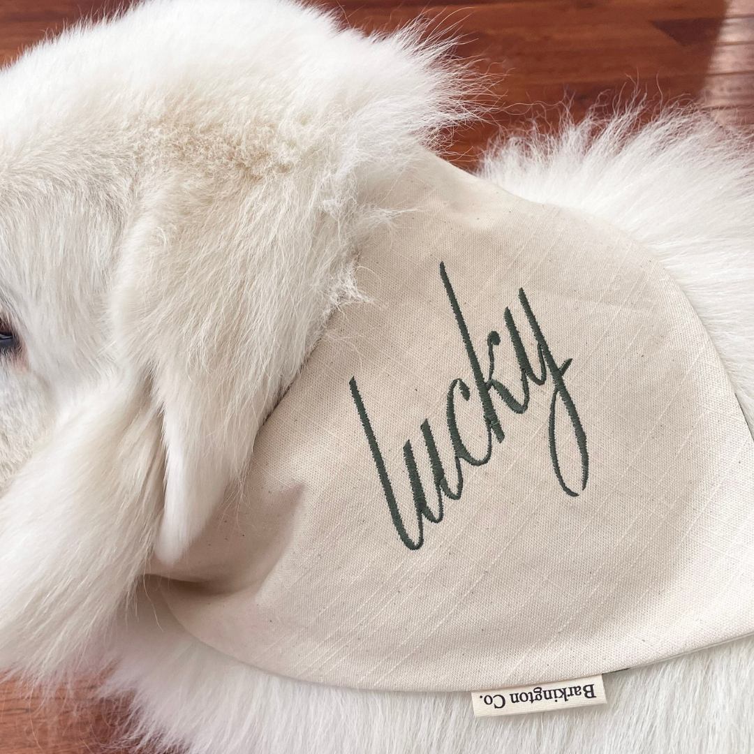 'Lucky' Reversible Embroidered Bandana