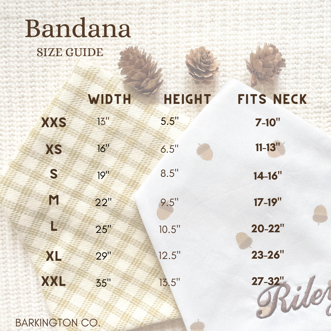 'XOXO' Reversible Embroidered Bandana