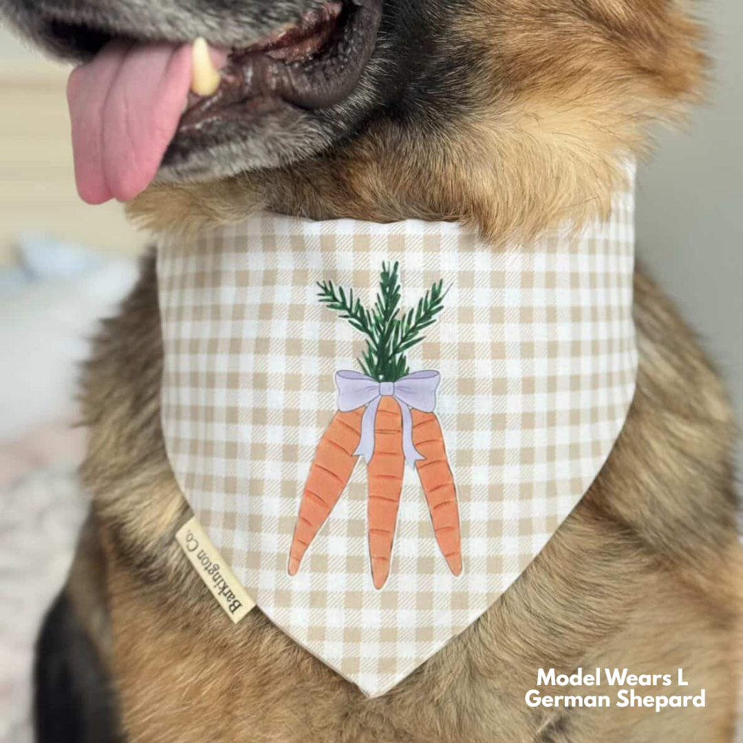 'Carrot Patch' Reversible Bandana