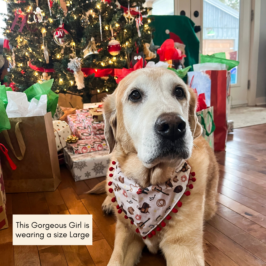 'Beary Festive' Reversible Embroidered Bandana