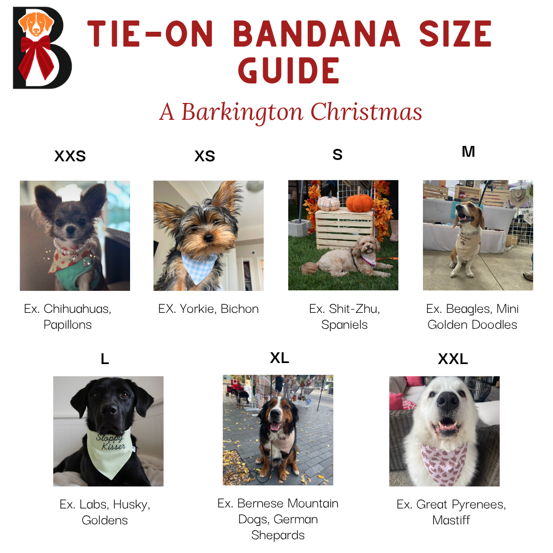 'Beary Festive' Reversible Embroidered Bandana