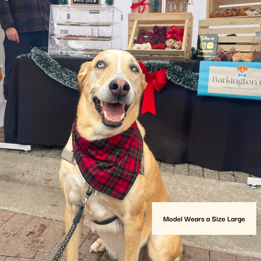 'Merry AF' Embroidered Bandana