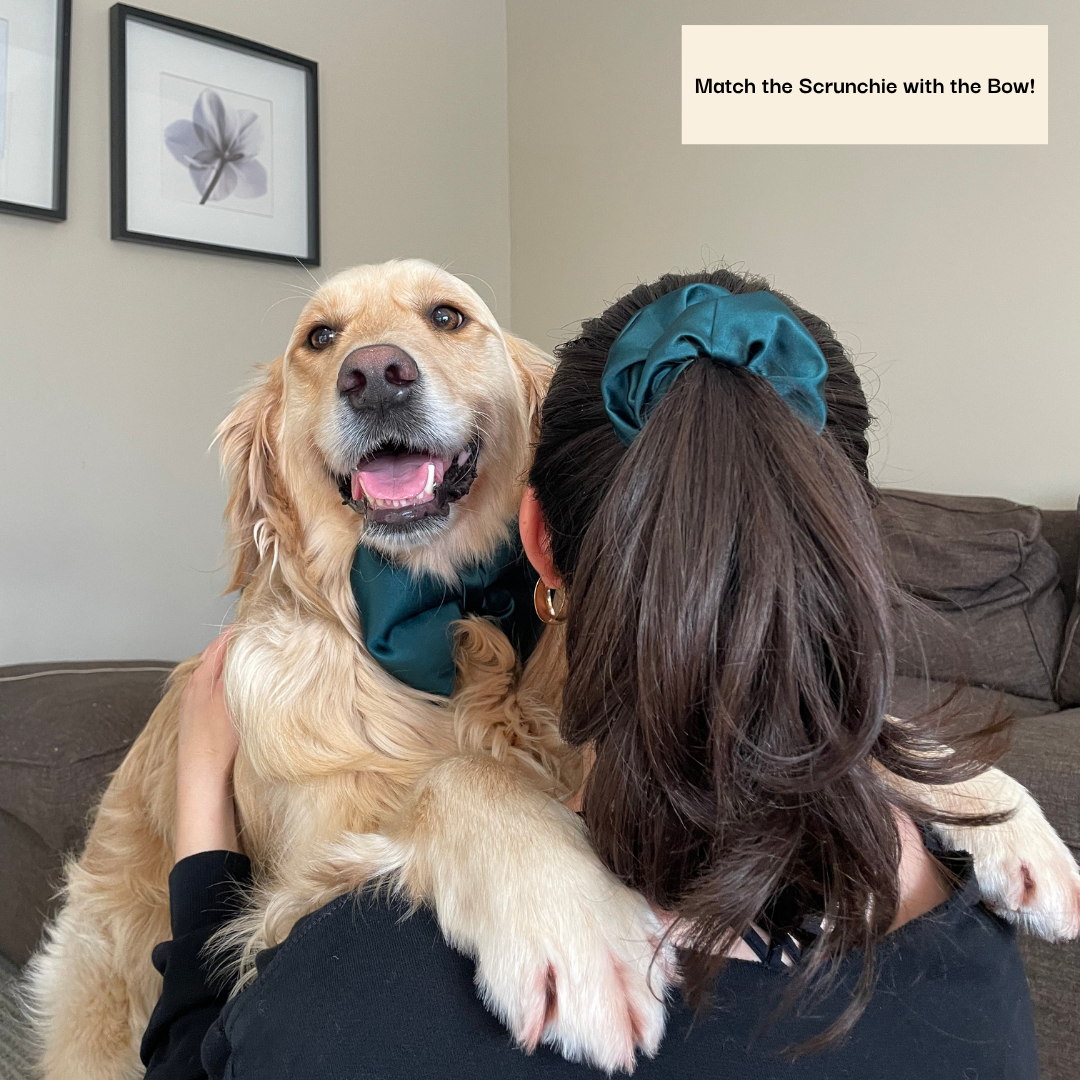 Velvet Scrunchie